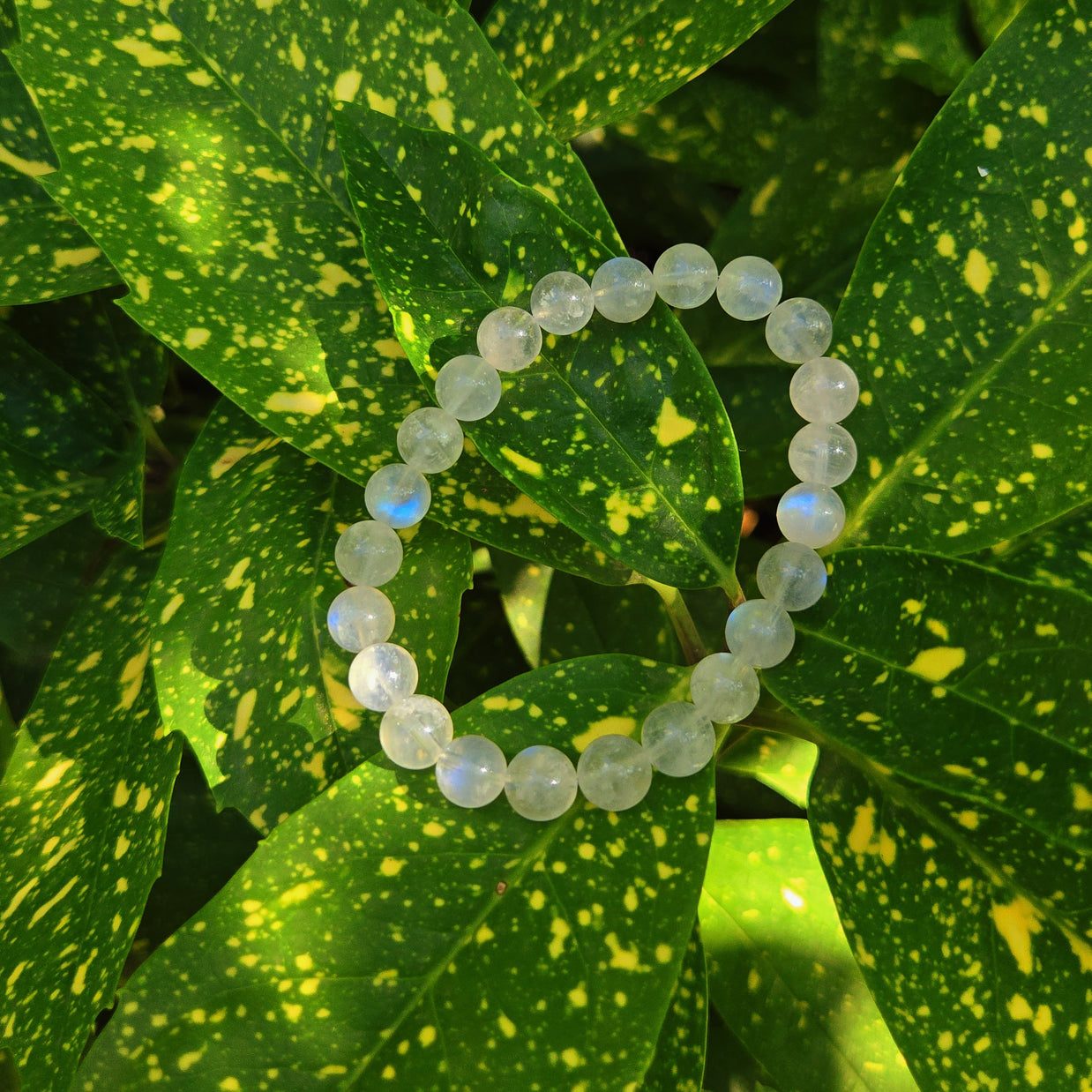 Blueshine Moonstone Serenity Bracelet