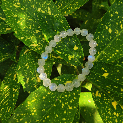 Blueshine Moonstone Serenity Bracelet