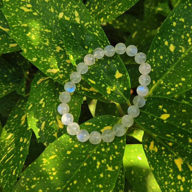 Blueshine Moonstone Serenity Bracelet