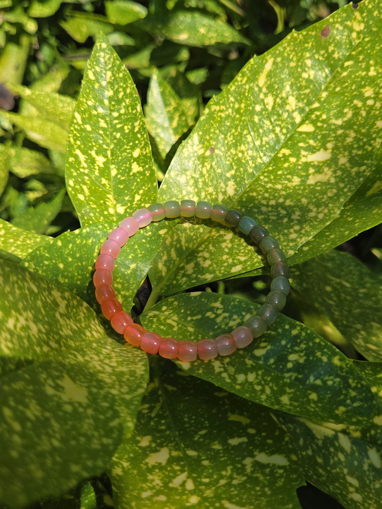 Rainbow Agate Energy Bracelet